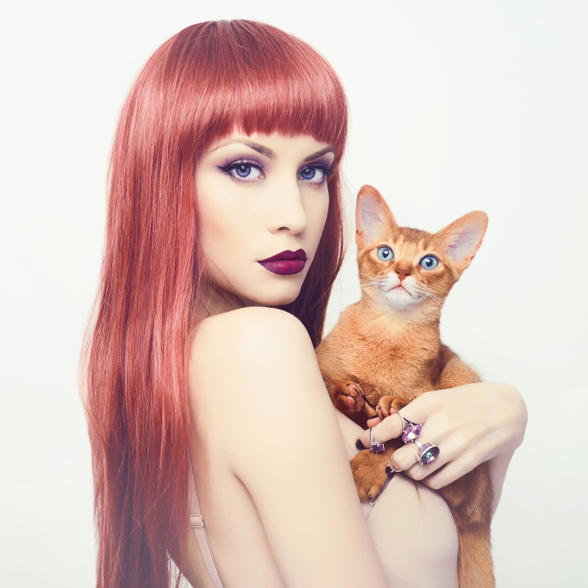 jewels for cat lovers jewels for cat lovers